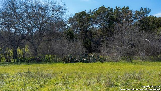 Image 24 of 32 For 101 Blanco River Ranch