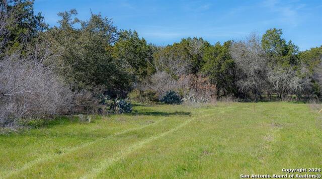 Image 25 of 32 For 101 Blanco River Ranch