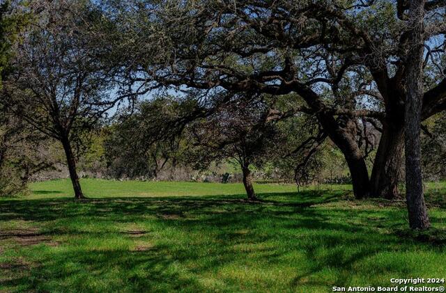 Image 3 of 32 For 101 Blanco River Ranch