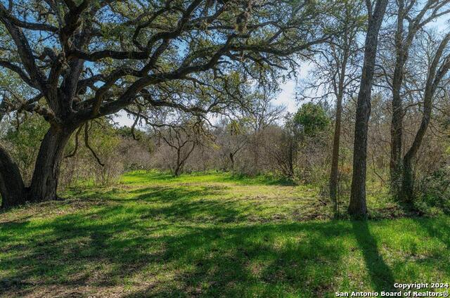 Image 6 of 32 For 101 Blanco River Ranch