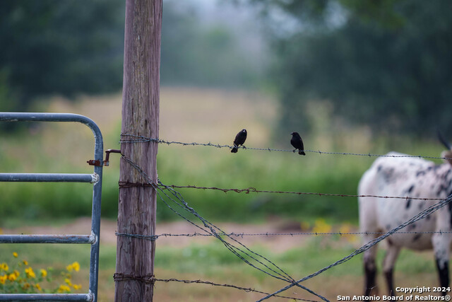 Listing photo id 24 for 10801 County Road 116