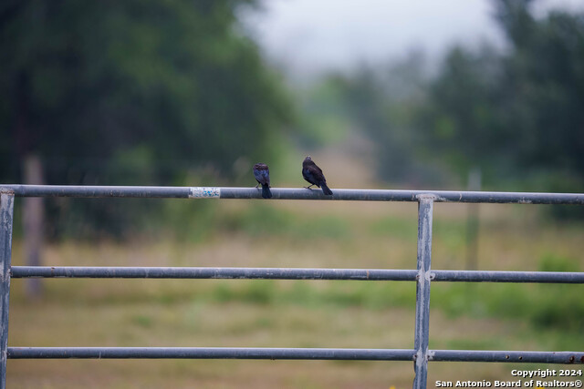 Listing photo id 25 for 10801 County Road 116