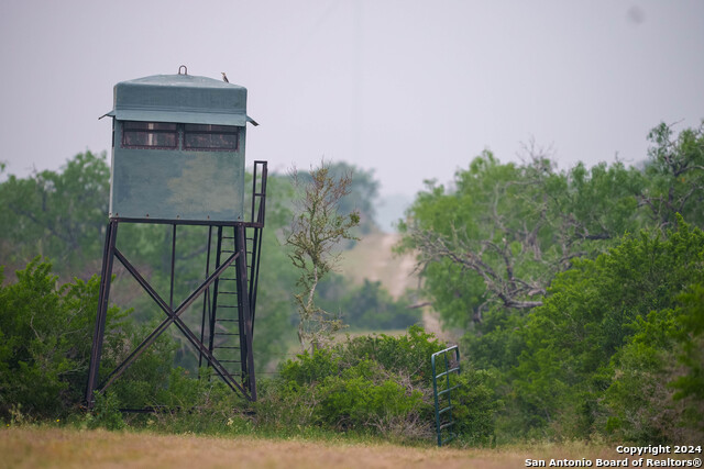 Listing photo id 32 for 10801 County Road 116