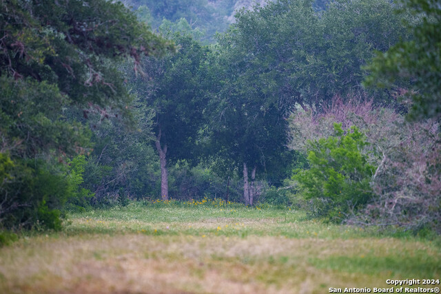 Listing photo id 33 for 10801 County Road 116