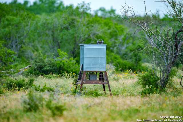 Listing photo id 39 for 10801 County Road 116