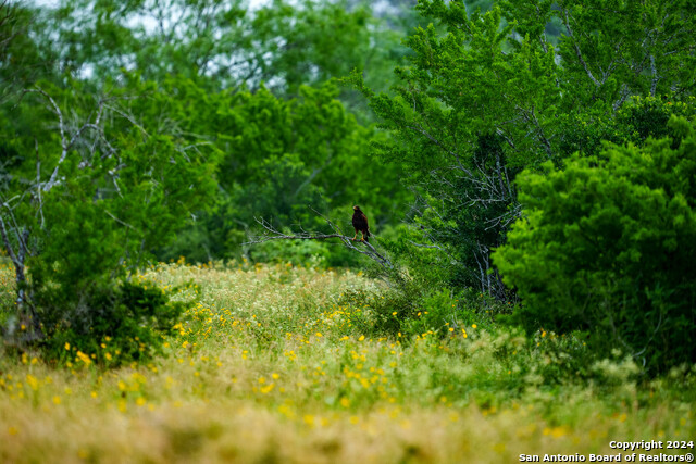 Listing photo id 43 for 10801 County Road 116