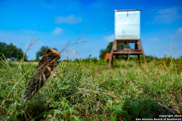 Listing photo id 44 for 10801 County Road 116