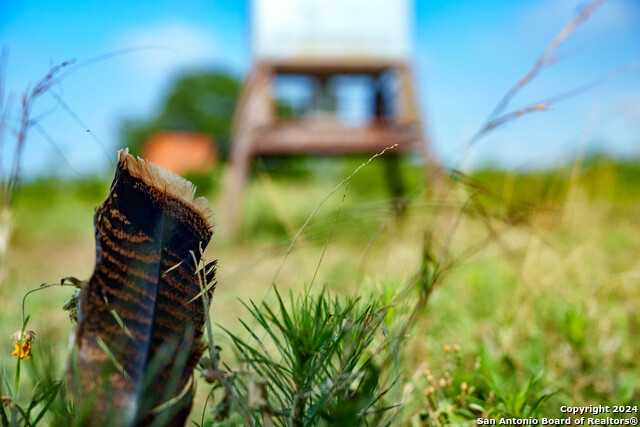 Listing photo id 45 for 10801 County Road 116