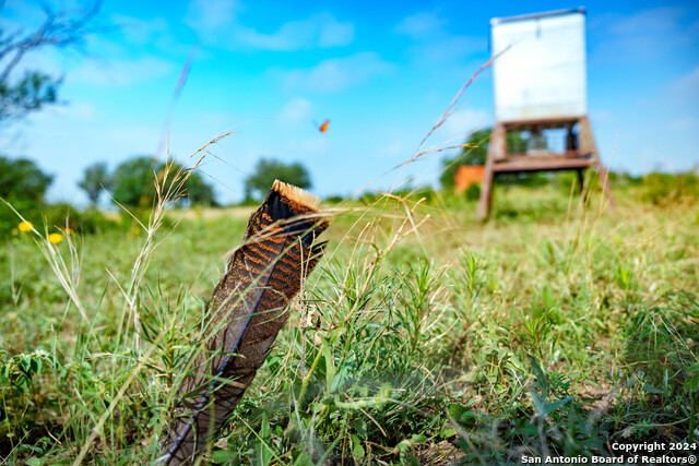 Listing photo id 47 for 10801 County Road 116