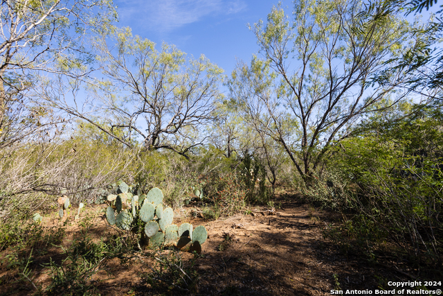 Listing photo id 8 for 3 Fm 1581