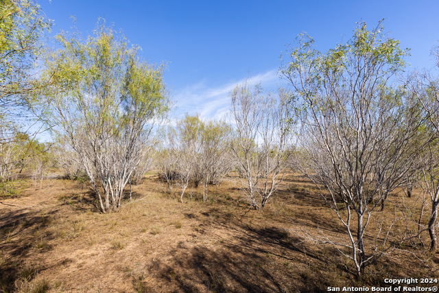 Listing photo id 10 for 3 Fm 1581
