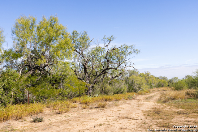 Listing photo id 11 for 3 Fm 1581