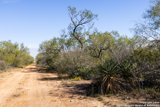 Listing photo id 12 for 3 Fm 1581