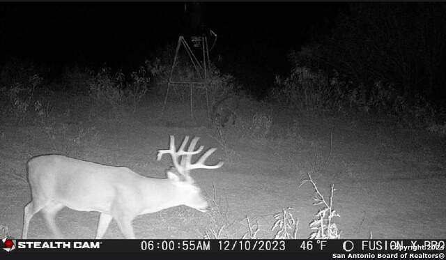 Listing photo id 14 for 3 Fm 1581