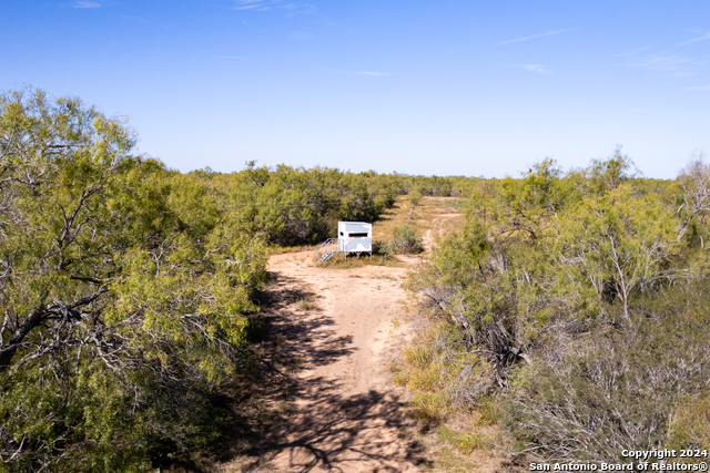 Listing photo id 7 for 3 Fm 1581