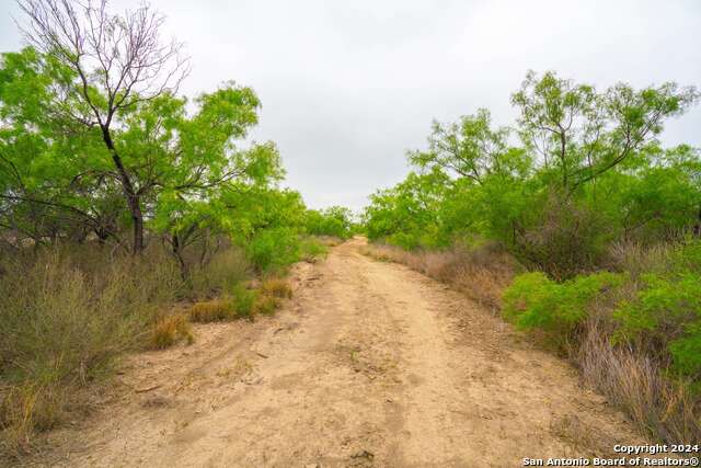 Image 15 of 19 For 16131 El Indio Hwy