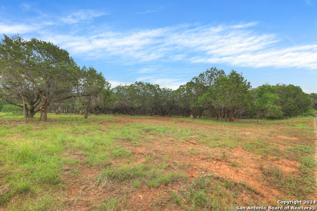 Image 11 of 32 For 10402 Rinder Farm Court