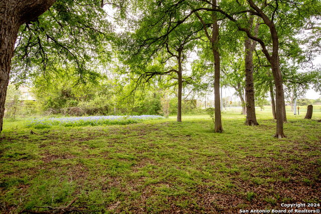 Image 17 of 18 For 105 Burr Oak