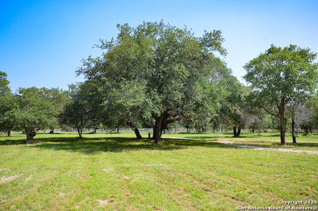 Listing photo id 23 for 210 County Road 7812