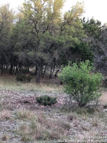 Details for 0 White Tail Run, Uvalde, TX 78801