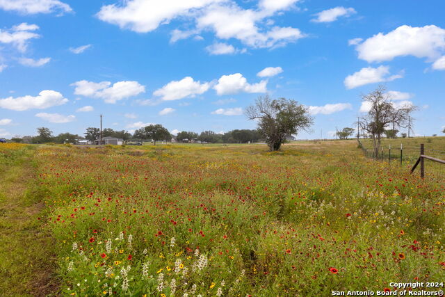 Image 5 of 13 For 124 Carrizo Ranch Dr