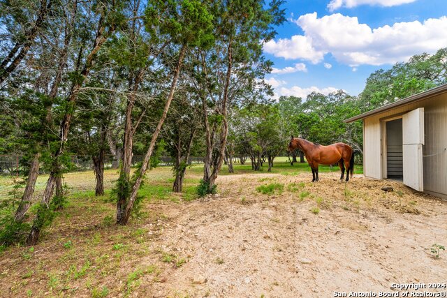 Image 46 of 55 For 153 Wild Horse