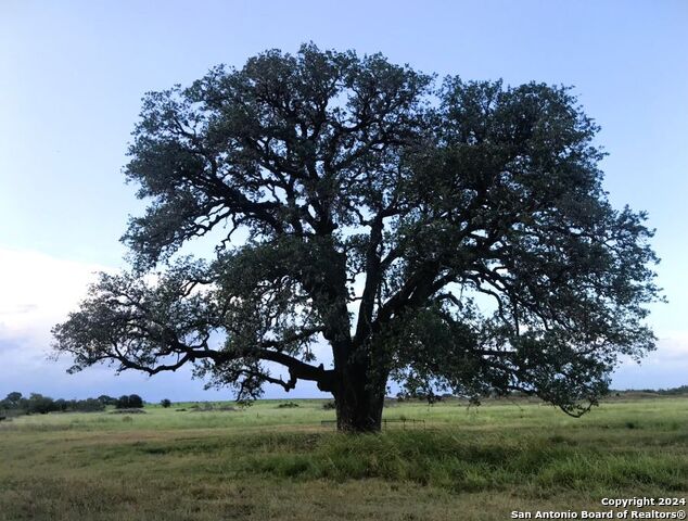 Details for Tbd County Road 2530, Moore, TX 78057