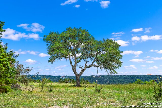 Image 7 of 13 For Lot 15 Mystic Ridge