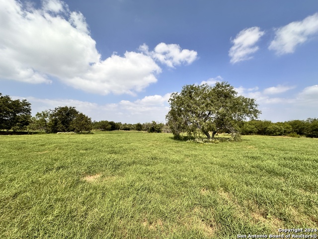 Listing photo id 8 for 4020 Odaniel Rd