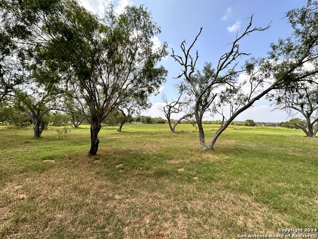 Listing photo id 39 for 4020 Odaniel Rd