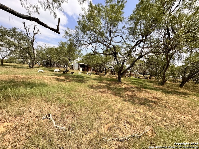 Listing photo id 43 for 4020 Odaniel Rd