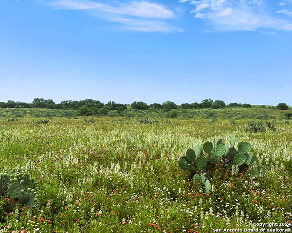 Image 12 of 40 For 2009 County Road 3000