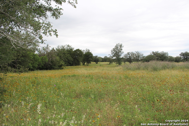 Image 8 of 17 For Tbd Twin Creeks Rd