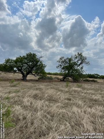 Details for 197 County Road 154, Pleasanton, TX 78064