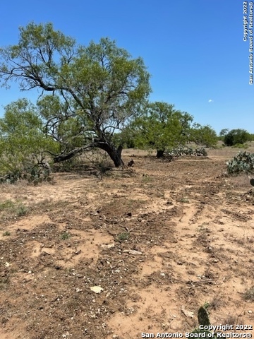 Image 7 of 11 For 197 County Road 154