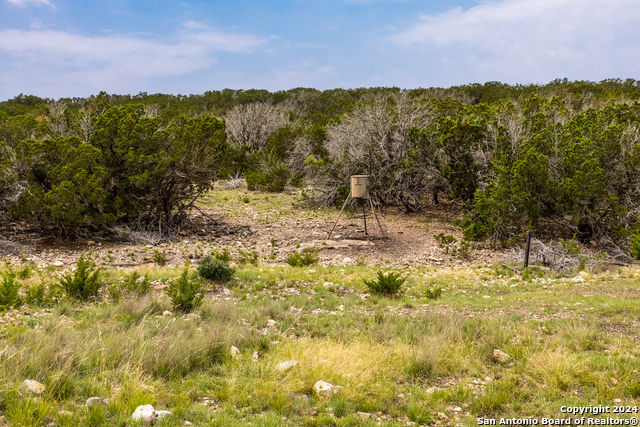 Image 17 of 50 For 0 Ranch Road 674