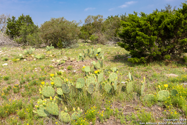 Image 21 of 50 For 0 Ranch Road 674