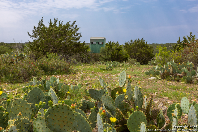 Image 33 of 50 For 0 Ranch Road 674