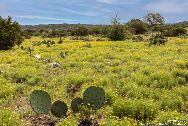 Image 6 of 50 For 0 Ranch Road 674