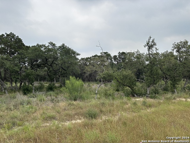 Image 5 of 8 For 1073 Earle Oak