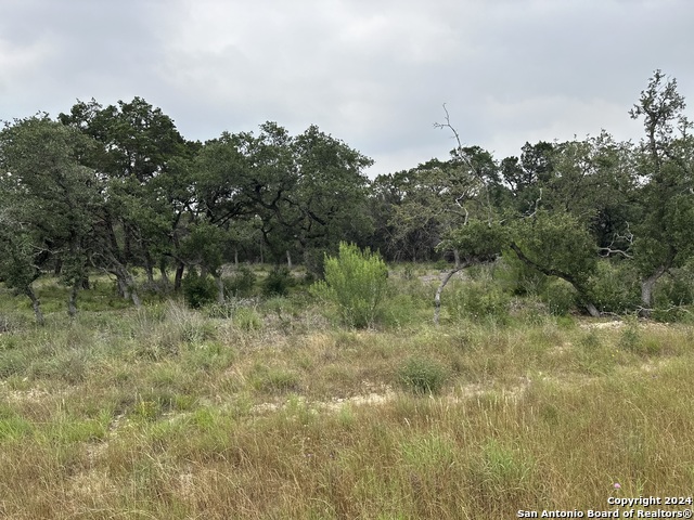 Image 6 of 8 For 1073 Earle Oak