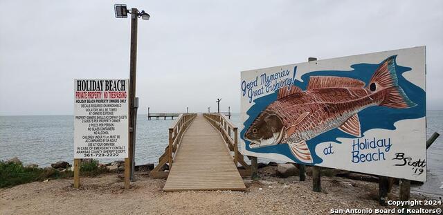 Image 43 of 44 For 194 Sailfish