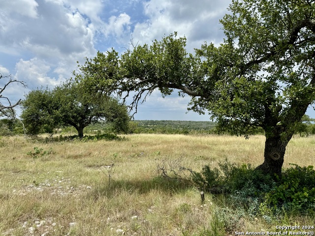 Details for Lot 25 Ridgeline Rd, Fredericksburg, TX 78624