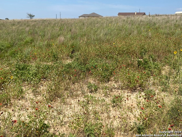 Details for 618 Forest Ln, La Vernia, TX 78121