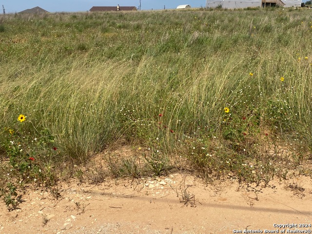 Image 2 of 5 For 618 Forest Ln