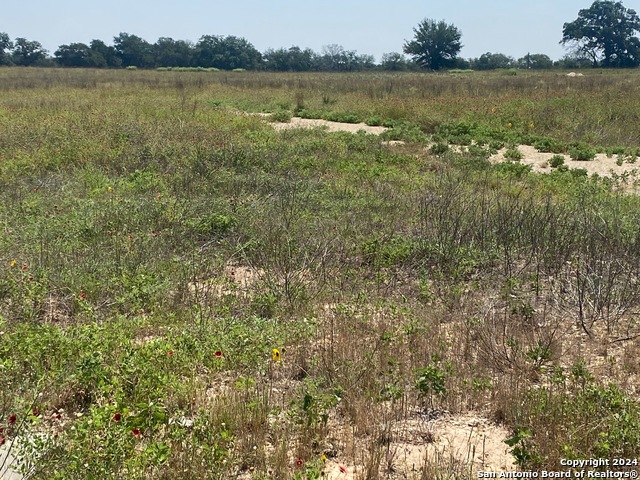 Image 2 of 5 For 918 Fallbrook Ln