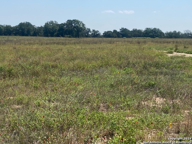 Image 3 of 5 For 918 Fallbrook Ln