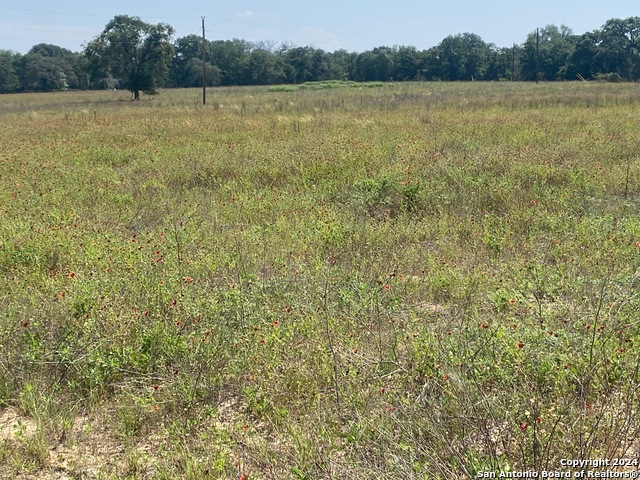 Image 4 of 5 For 918 Fallbrook Ln