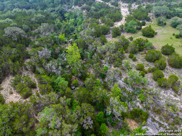 Image 4 of 9 For 24.29± Ac Clearwater Creek