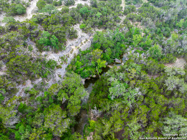 Image 2 of 9 For 11.8± Ac Clearwater Creek